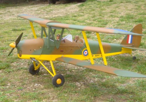 Tiger Moth Finished